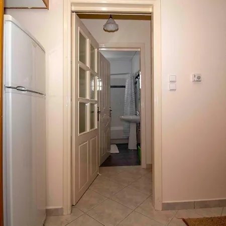 Laconian Collection Agidos 4 *